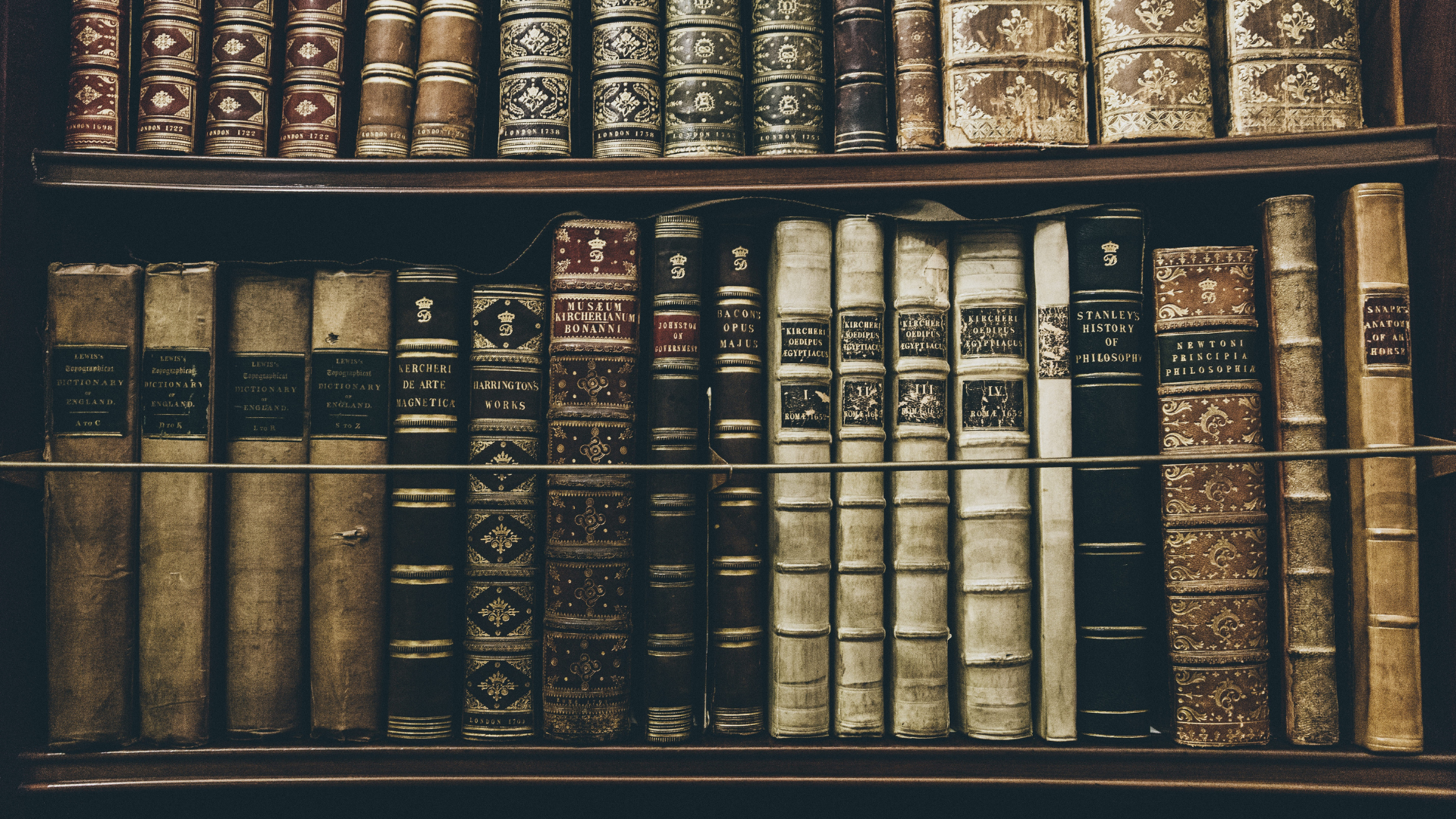 Image of dark academia and classic books on a shelf for The Archive, a bookstore and coffee shop in Charleston, South Carolina.