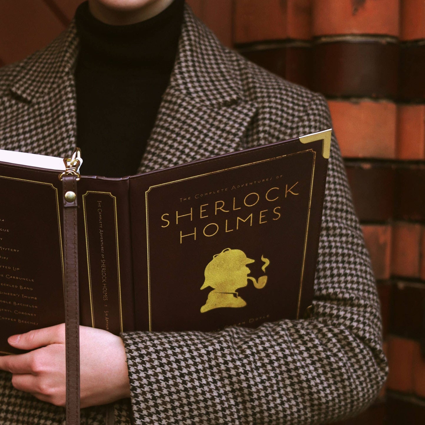 Person holding a book titled 'Sherlock Holmes' in front of a bookshelf.