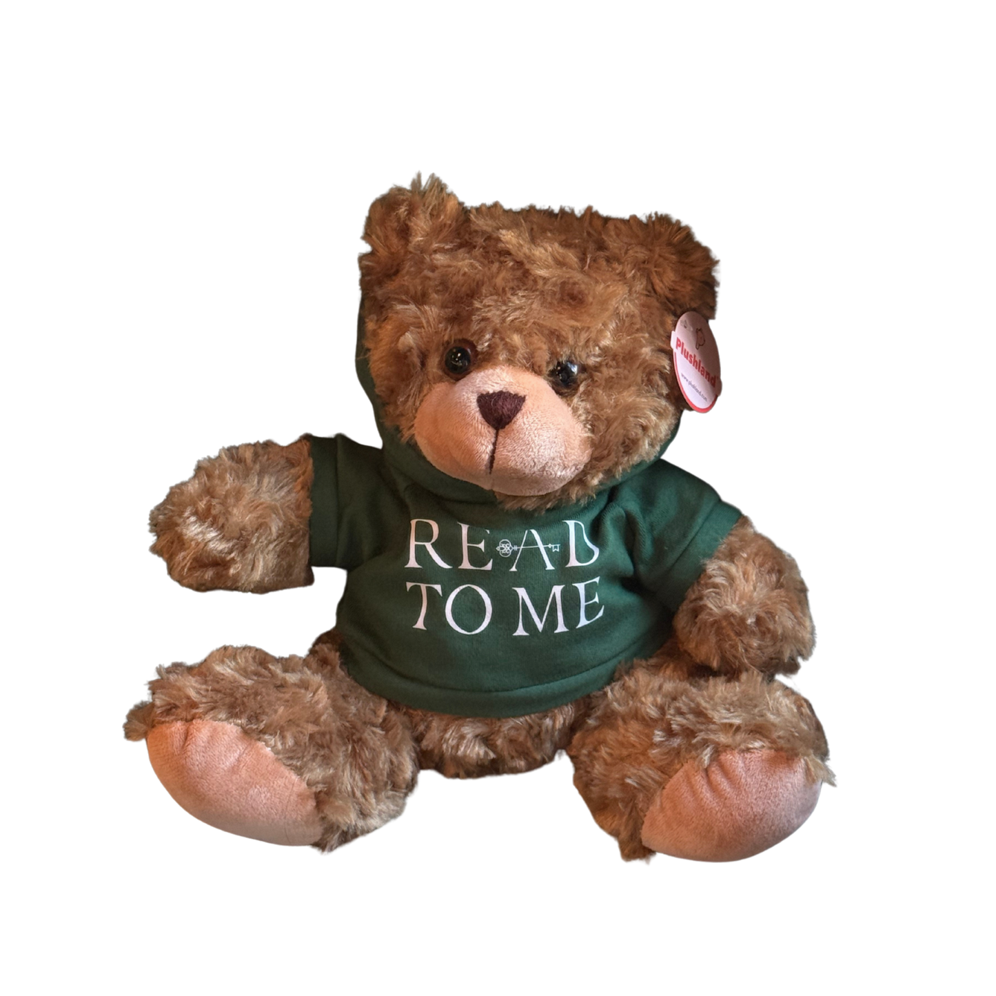 Teddy bear wearing a green shirt with 'READ TO ME' text on a white background