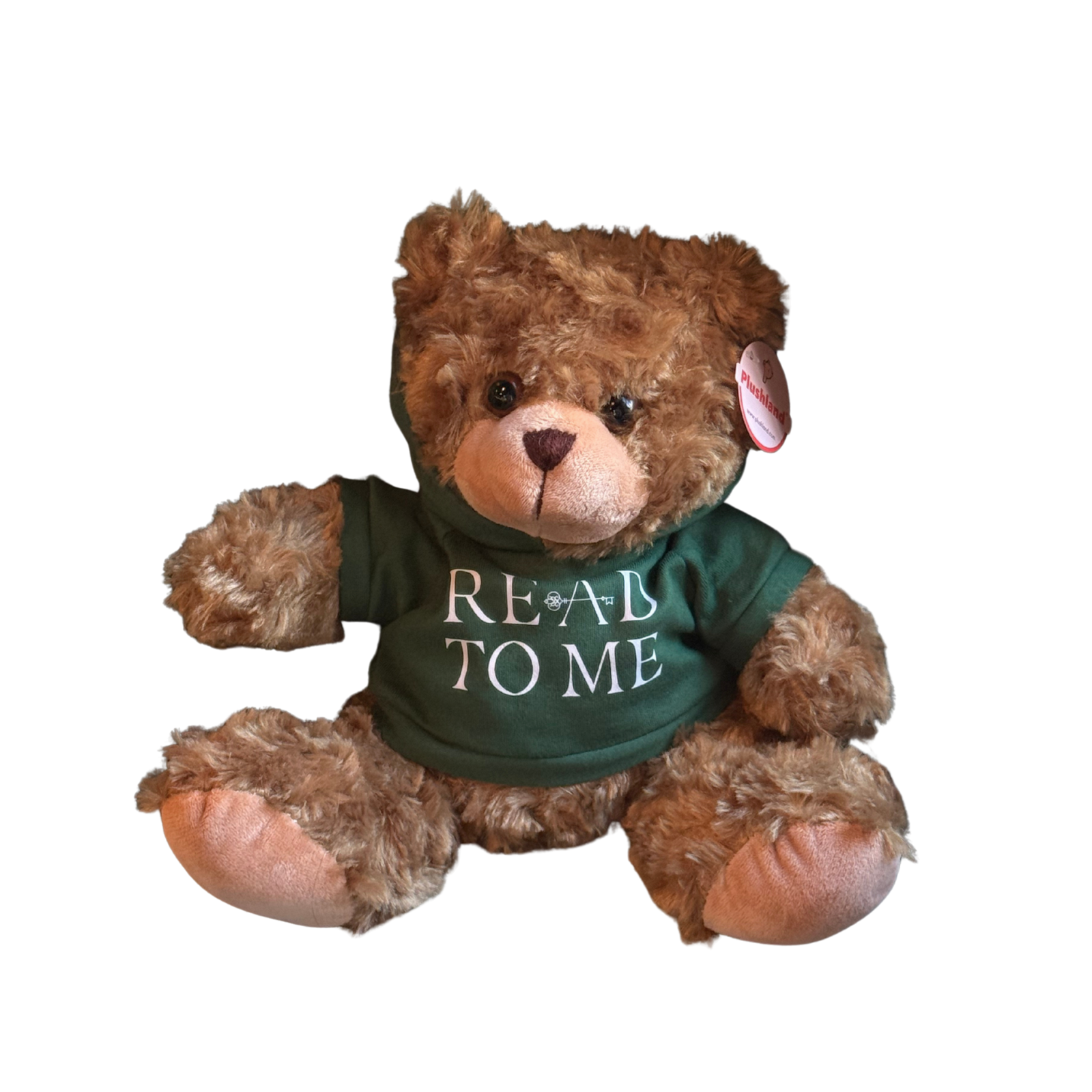 Teddy bear wearing a green shirt with 'READ TO ME' text on a white background