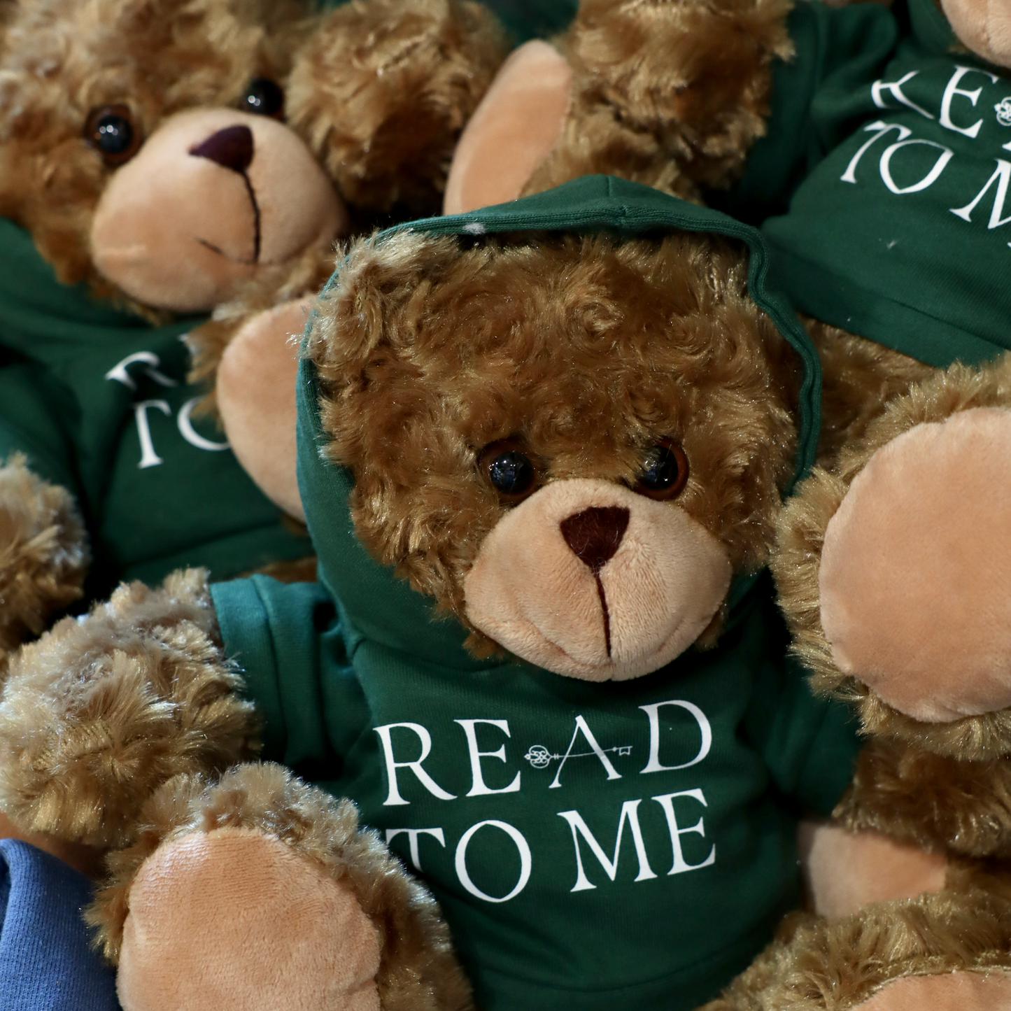 Teddy bear wearing a green hoodie with 'Read to Me' text, surrounded by other teddy bears.