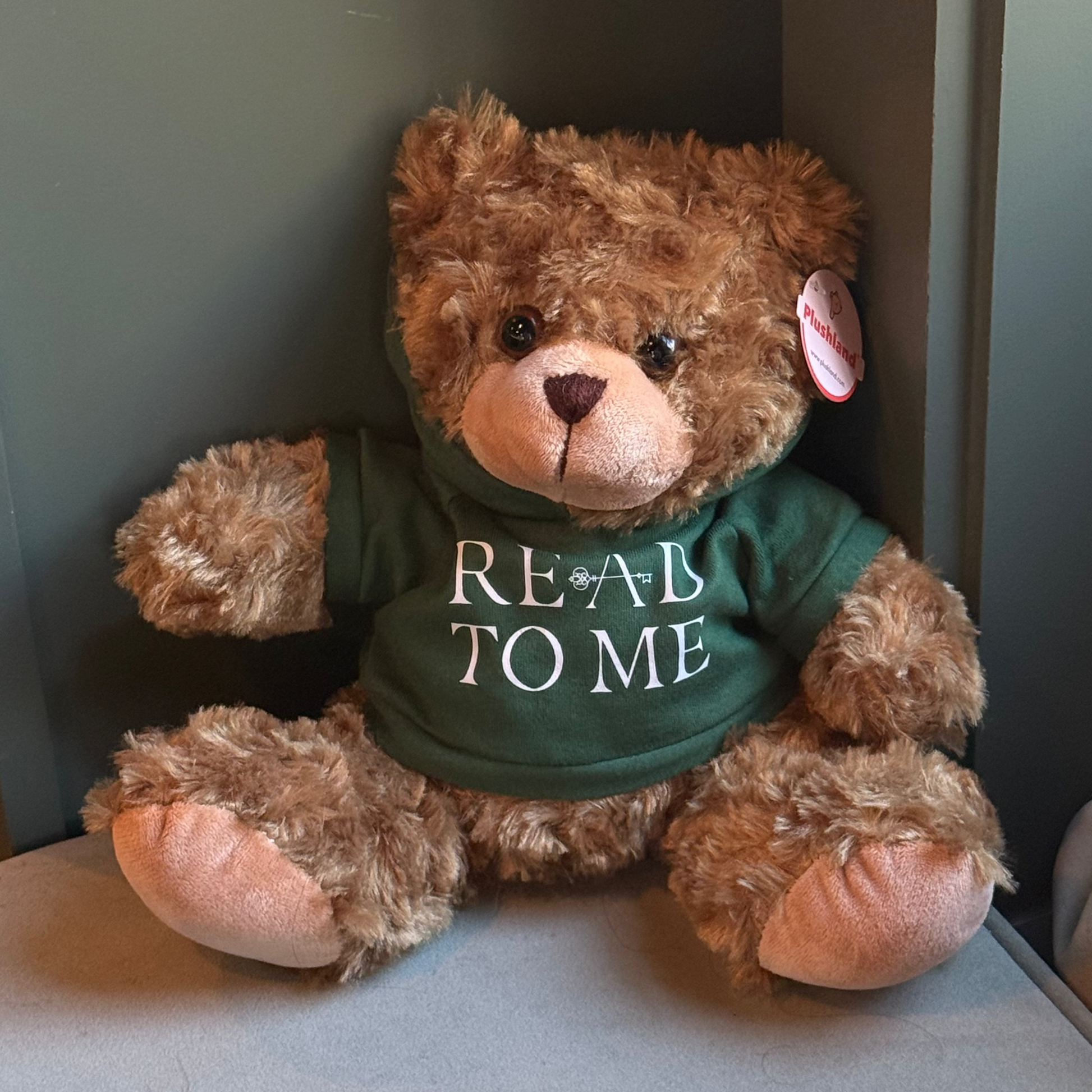 Teddy bear wearing a green shirt with 'READ TO ME' text on a neutral background